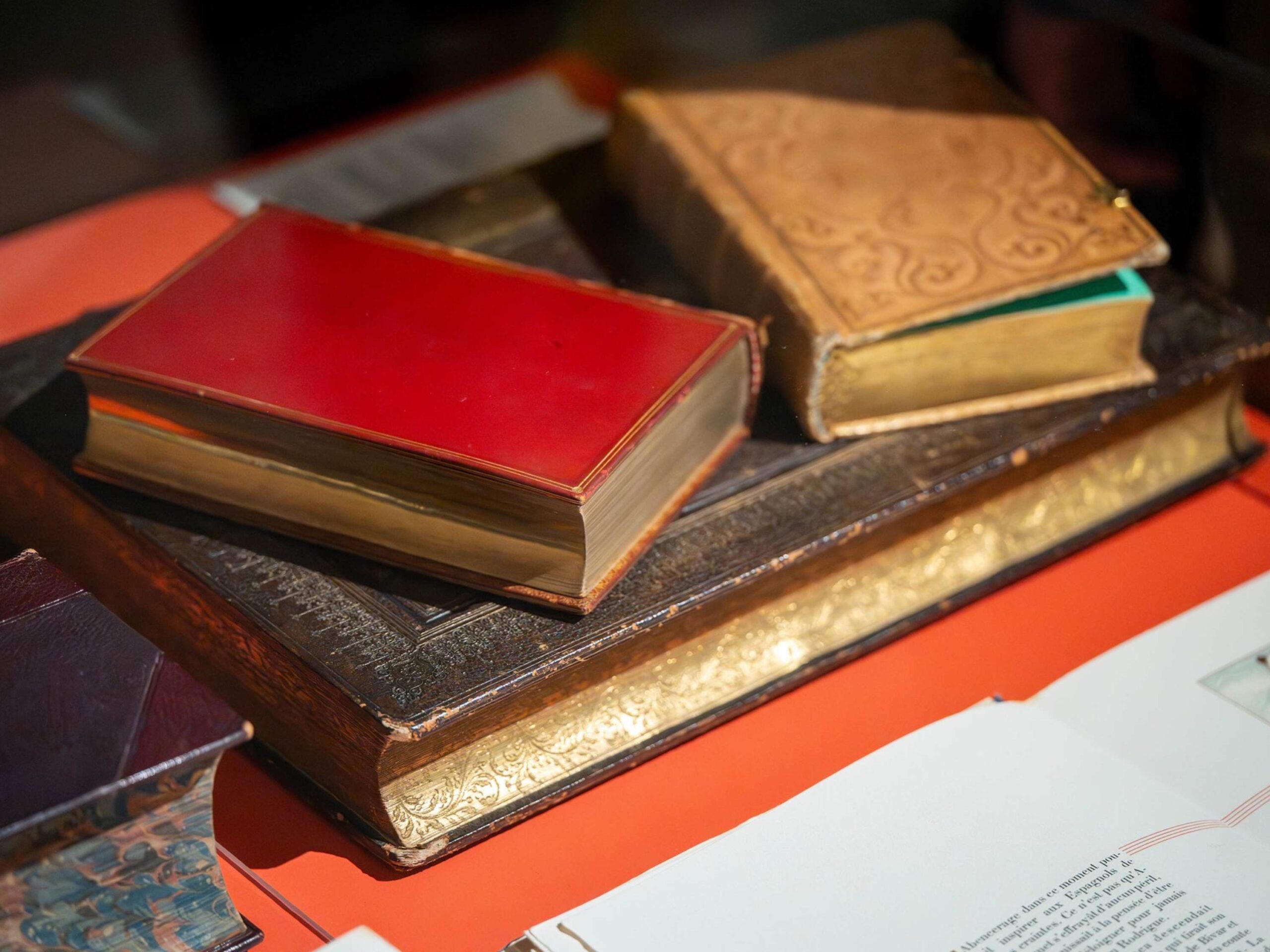 When Books Gather Dust in Summer: How to Inspire a Curiosity for Reading?